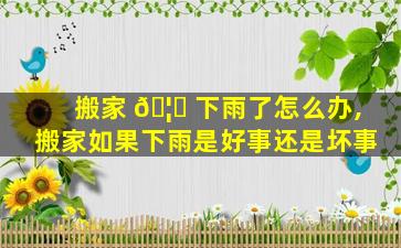 搬家 🦁 下雨了怎么办,搬家如果下雨是好事还是坏事
